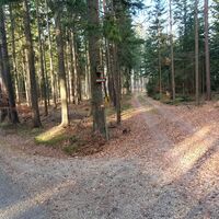 Variante: Einmündung der Forststraße