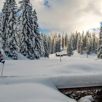 im Hintergrund die Schröckalm