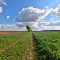 Weite Frühlingslandschaft zwischen Jelmstorf und Seedorf (Heideregion Uelzen)