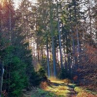 Qualitätstour Berg und Tal (N 6)