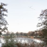 Winterlicher Morgennebel auf dem Wasser