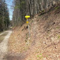 Hier ging ich rechts hinauf zur Ennser Hütte