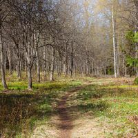 Hämeenlinna/ Aulanko, Finnland