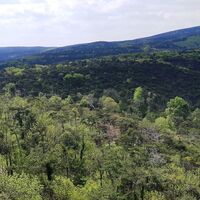 Ausblick auf der Ruine Rauheneck