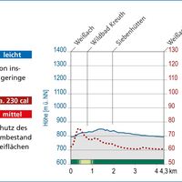Heilklimatische Bewertung des Terrainkurwegs