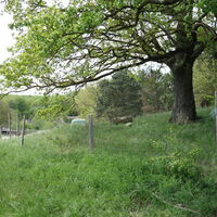 Abzweig zur Bischofsmütze