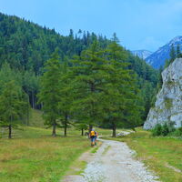Niederalpl - Hohe Veitsch - Seewiesen
