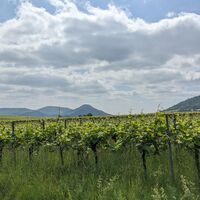 Blick auf den Pfälzerwald und die Reichsburg Trifels