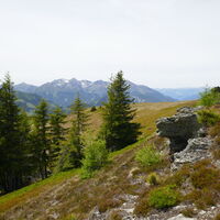 ein Rückblick zur Bösensteingruppe