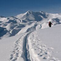 Skitour auf den Schafberg