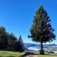 Freithofberg-Trail - Maria Neustift