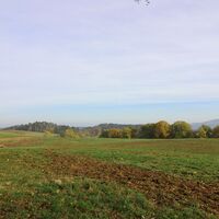 Ausblick von der Mosbacher Linde