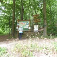 Wanderparkplatz Leuchtbergsattel