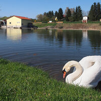 Werra beim Wehr am Sportplatz Mihla