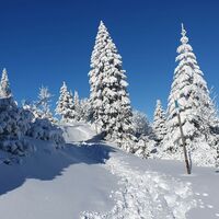 Den blauen Schneestangen entlang zur Höllentalaussicht