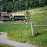 Gemütliche Nebensträsschen