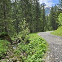 Abfahrt von Wurzach zu den Furten