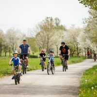 Familie beim Radfahren