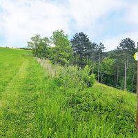 NaturaTrail Wiesenweg oberhalb des Meßbachtals