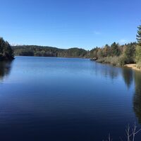 Forstsee