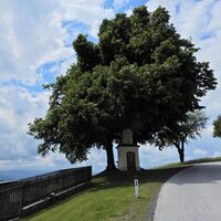 Thernberg - Kaltenberg (Maria Schnee) - Lichtenegg - Stickelberg - Wiesmath