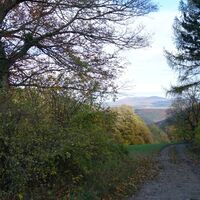 nach der Orchideenwiese