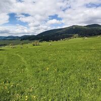 Ausblick über die Tober bei Passail, Naturpark Almenland in der Oststeiermark