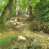 13.8 km Wegekreuzung mit Wanderweg