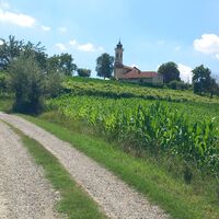 Strade Bianche in der Ortschaft Airali di Chieri (TO)