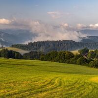 Ausblick auf der Strecke zwischen St. Peter und St. Märgen