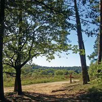 Wahner Heide