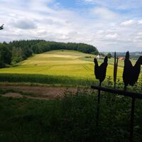 Hühnerwiem Rastplatz nahe Gemeinde Wüsten