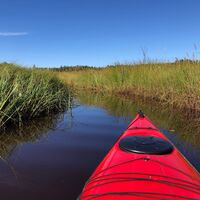 Mündung des Bachs Särämäjärvi, Kajaani