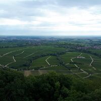 Ausblick Burgruine Neukastel