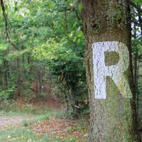 Wegeverlauf vor der Schutzhütte "Flüchtiger Hirsch" am Rennsteig