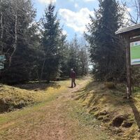 Weg zum Ehrenmal Glöckner