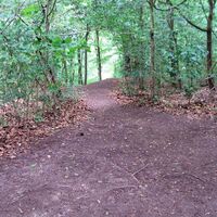 Salzgitter-Gebhardshagen, Wanderweg 17 Abstieg vom Kammweg beim Reihersee aus