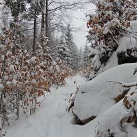 Semmering - Eselstein
