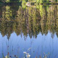 Mathisleweiher