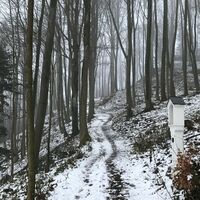 Winterwandern