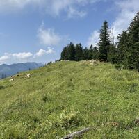 Weg am Kamm zur Turnhöhe