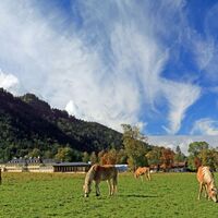 Wildbad Kreuth