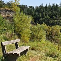 Reste der Burgruine Schönenburg