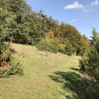 Wiesenwege auf der Prümer Land Tour 2
