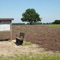Hügelgräberfriedhof in Unterstedt mit Bänken und Infotafel