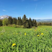 Hochstald Ausblick