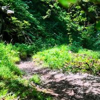 Trail bzw. Schiebestrecke in Richtung Offensee