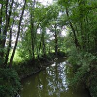 Andorf - Riedau