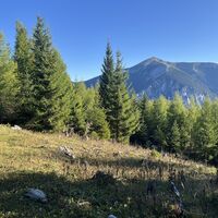 Blick vom Rax Plateau auf den Schneeberg