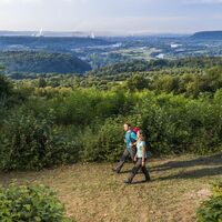 Wandern auf der Traumschleife Beckinger Saarblicke